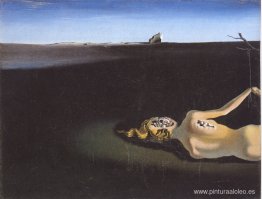 mujer durmiendo en un paisaje mujer durmiendo en un paisaje