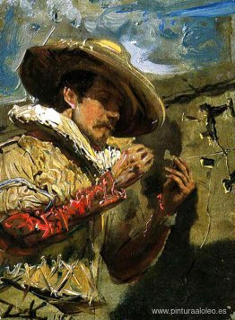 Personaje disfrazado de fijar una mariposa Personaje disfrazado de fijar una mariposa