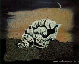 Caparazón Caparazón