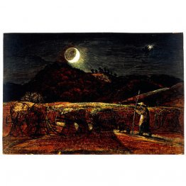 Un campo de maíz a la luz de la luna con la estrella vespertina Un campo de maíz a la luz de la luna con la estrella vespertina