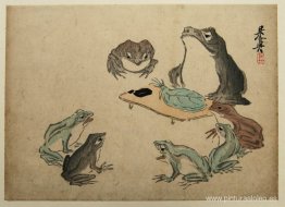 ranas ranas