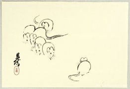 ratas blancas ratas blancas