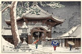 Nieve en el templo Nan-endo, Nara Nieve en el templo Nan-endo, Nara
