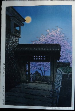 Luna llena y flor de cerezo en el castillo de Matsuyama Luna llena y flor de cerezo en el castillo de Matsuyama