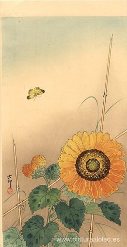 Pequeña mariposa y girasol. Pequeña mariposa y girasol.