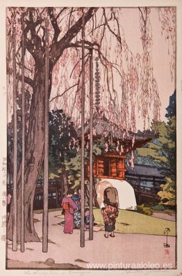 El cerezo en Kawagoe El cerezo en Kawagoe