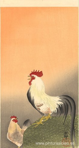 Gallo y gallina al amanecer Gallo y gallina al amanecer