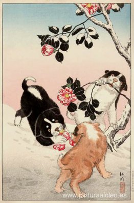 Camelia y cachorros en la nieve. Camelia y cachorros en la nieve.