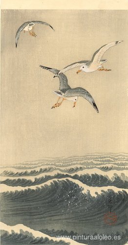 Gaviotas sobre las olas Gaviotas sobre las olas