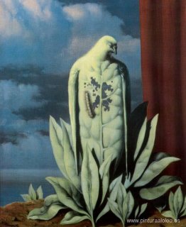 El sabor de las lágrimas El sabor de las lágrimas