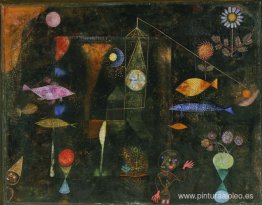 Magia de peces Magia de peces