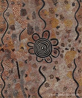 patata salvaje patata salvaje