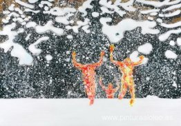 viaje de invierno 3 viaje de invierno 3