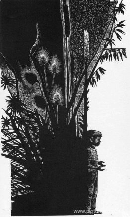 niño sin flor niño sin flor