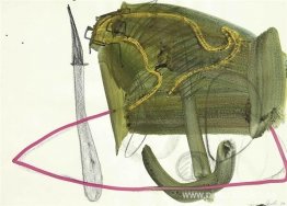 Intitulado Intitulado