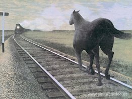 Caballo y tren Caballo y tren