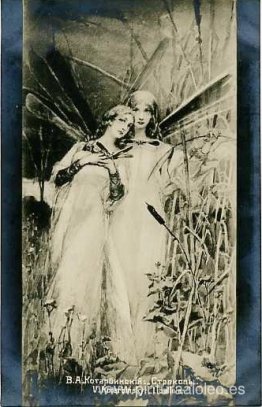 Libélulas Libélulas