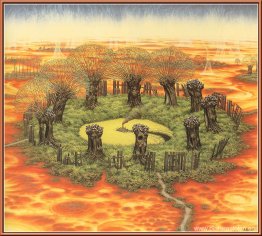 Manchas solares Manchas solares