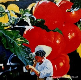 El debut del día El debut del día