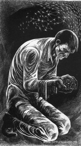 copa de cielo copa de cielo