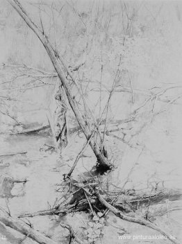 Las velas de las Nieblas Las velas de las Nieblas