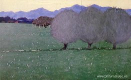 Azafranes de otoño Azafranes de otoño