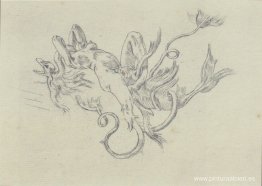 Transformismo Transformismo