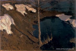 arroyo del bosque arroyo del bosque