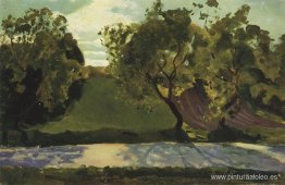 Pendiente verde en la carretera. martyshkino Pendiente verde en la carretera. martyshkino