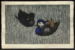 Pareja tranquila (Oshidori) Pareja tranquila (Oshidori)