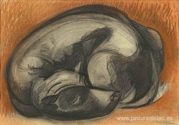 perro durmiendo perro durmiendo