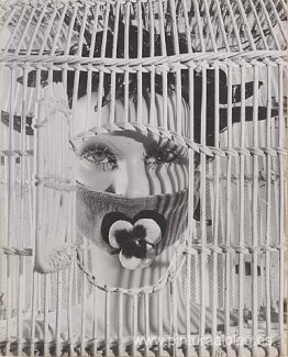 Camiseta del maniquí de André Masson Camiseta del maniquí de André Masson