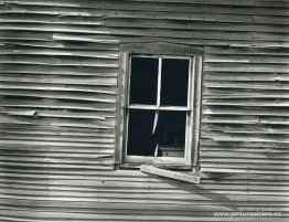 Taylor (Arizona) Taylor (Arizona)