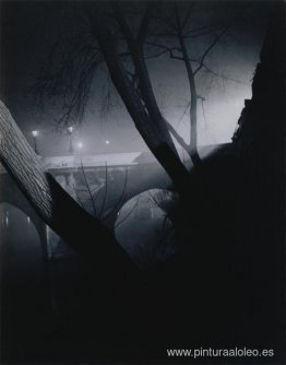 El Puente Nuevo en París El Puente Nuevo en París