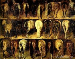 Los grupos Los grupos