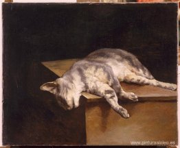 gato muerto gato muerto