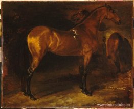 Caballo español en una cuadra Caballo español en una cuadra