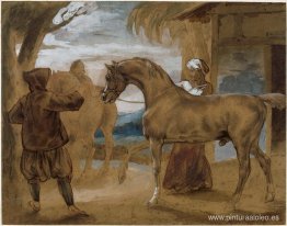 Semental árabe liderado por dos árabes para criar Semental árabe liderado por dos árabes para criar