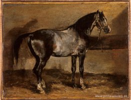 Perchero gris para caballos Perchero gris para caballos