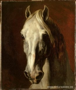 La cabeza de caballo blanco. La cabeza de caballo blanco.