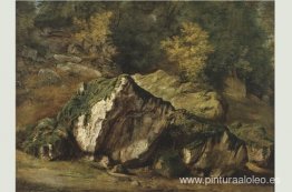 estudio de rocas estudio de rocas