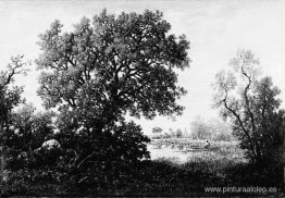 el estanque el estanque