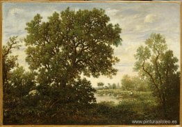 el estanque el estanque