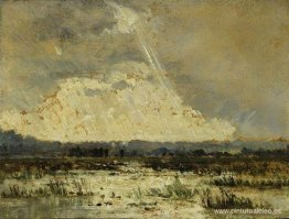 El pantano en el subterráneo El pantano en el subterráneo