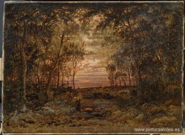 Atardecer en el bosque Atardecer en el bosque