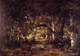 dentro del bosque dentro del bosque