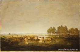 Marisma en Las Landas Marisma en Las Landas