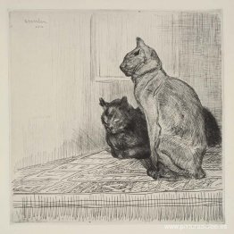 Dos gatos en un gabinete Dos gatos en un gabinete