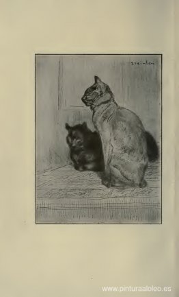dos gatos dos gatos