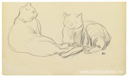 dos gatos dos gatos